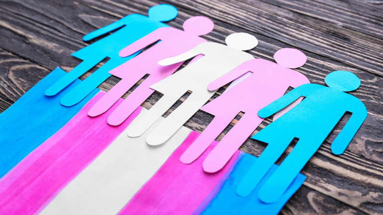 Drapeau trans / Shutterstock